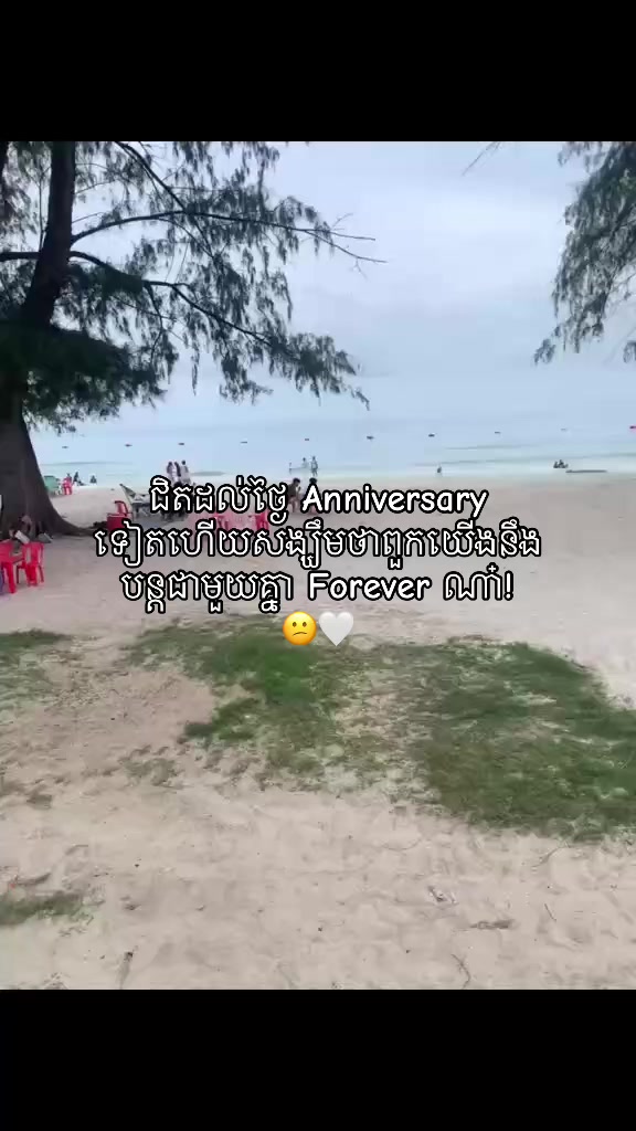 @batviewsnhtvna