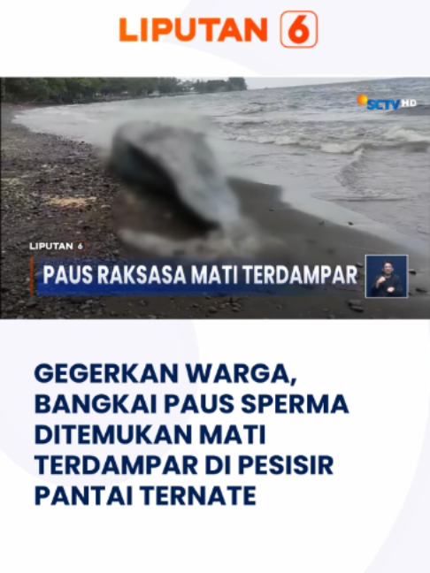 @Liputan6