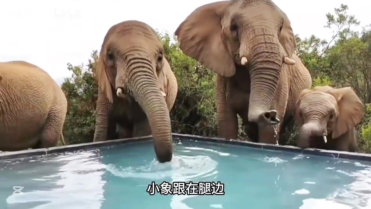 @liujiangyu
