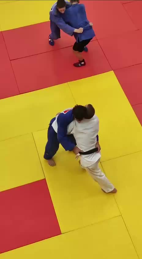 @mir_judo