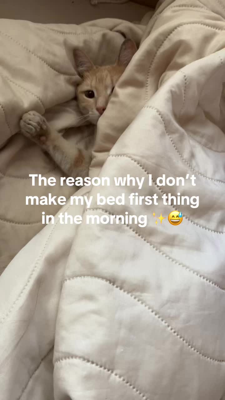 @Nikkita363