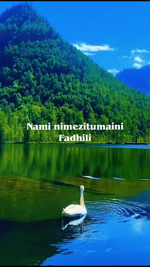 @𝕭𝖔𝖇𝖔