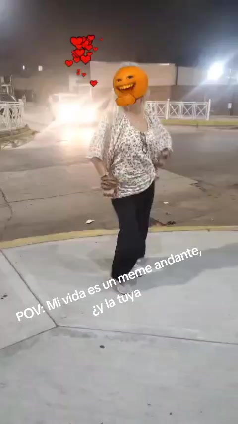 @la silvi
