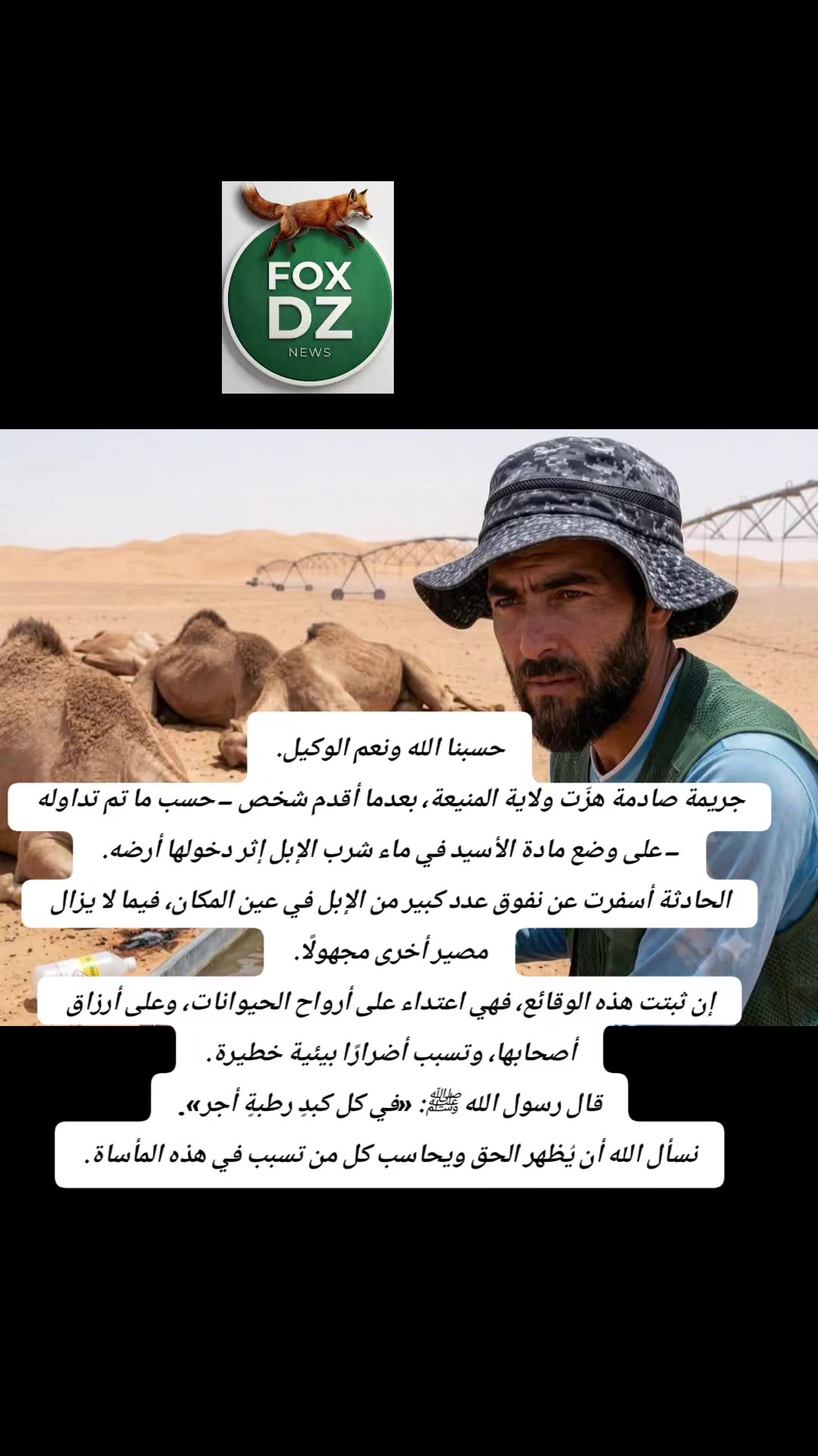 @🇩🇿FOX🦊 DZ🇩🇿