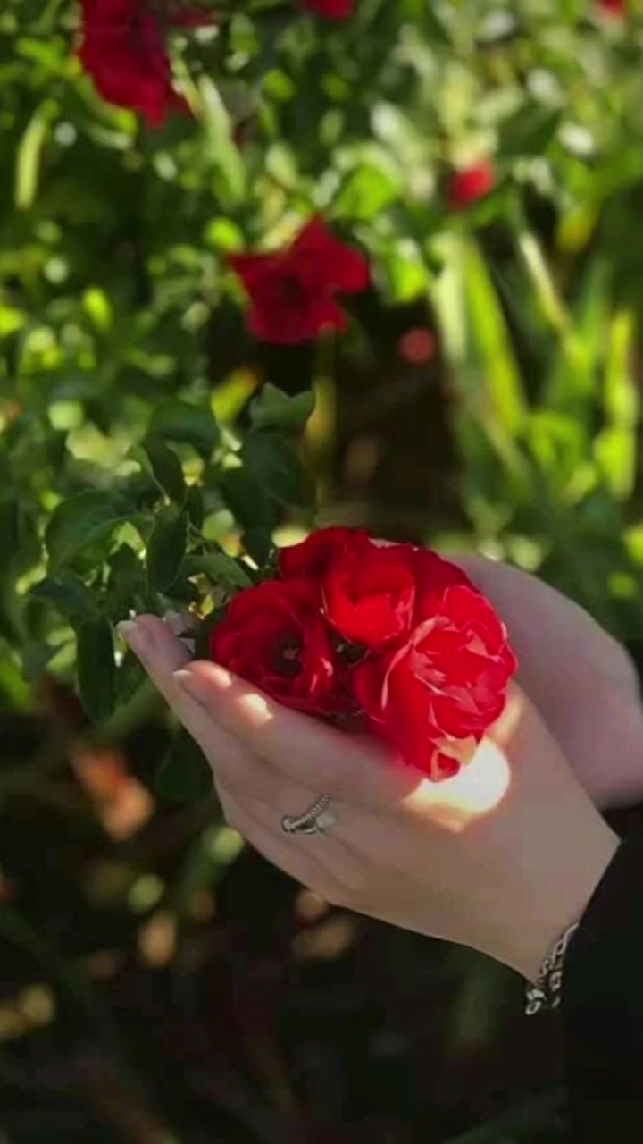 @🌼حياتي اجمل بذكر الله 🌼