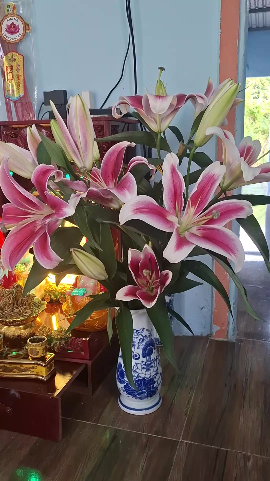 @nguyễn dung