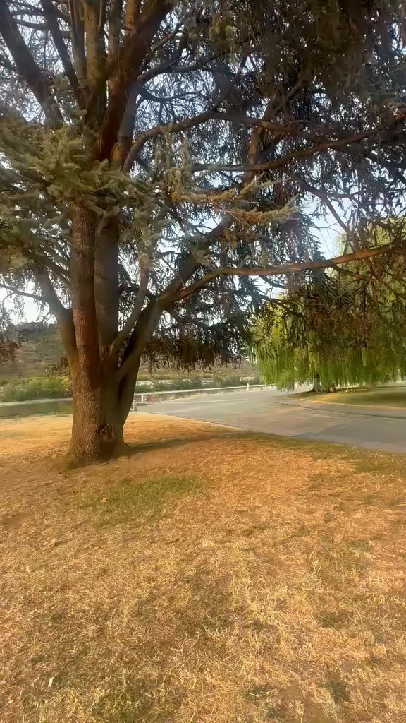 @𝑺𝒊𝒍𝒆𝒏𝒕ꨄ