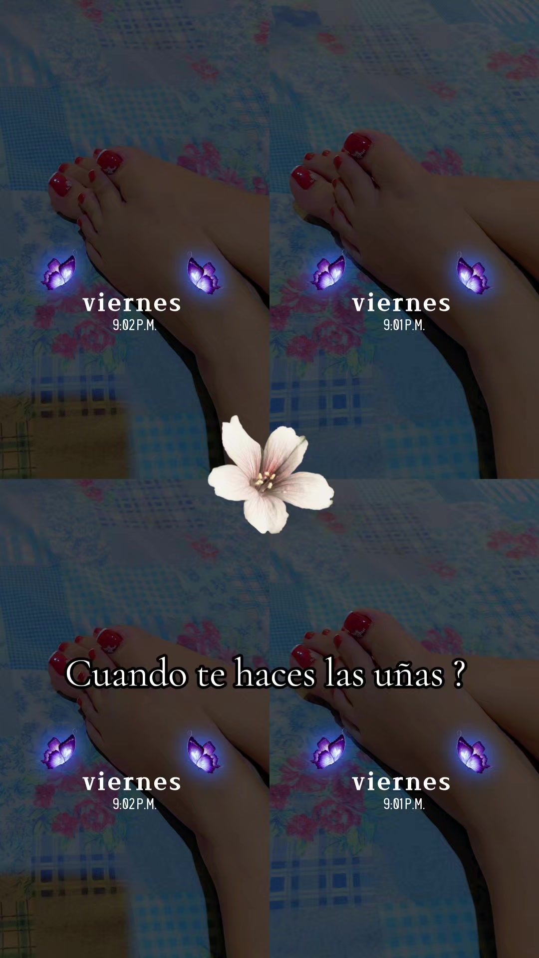 @jeimi94castillo