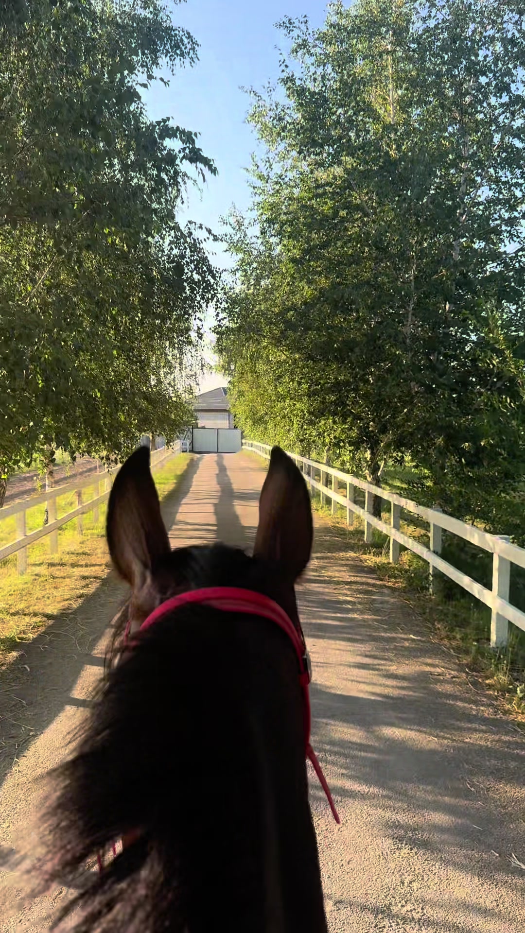 @🐎Ева🐎