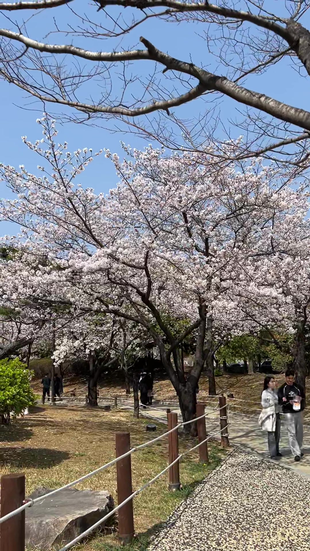 @agi namja🇮🇩🇰🇷