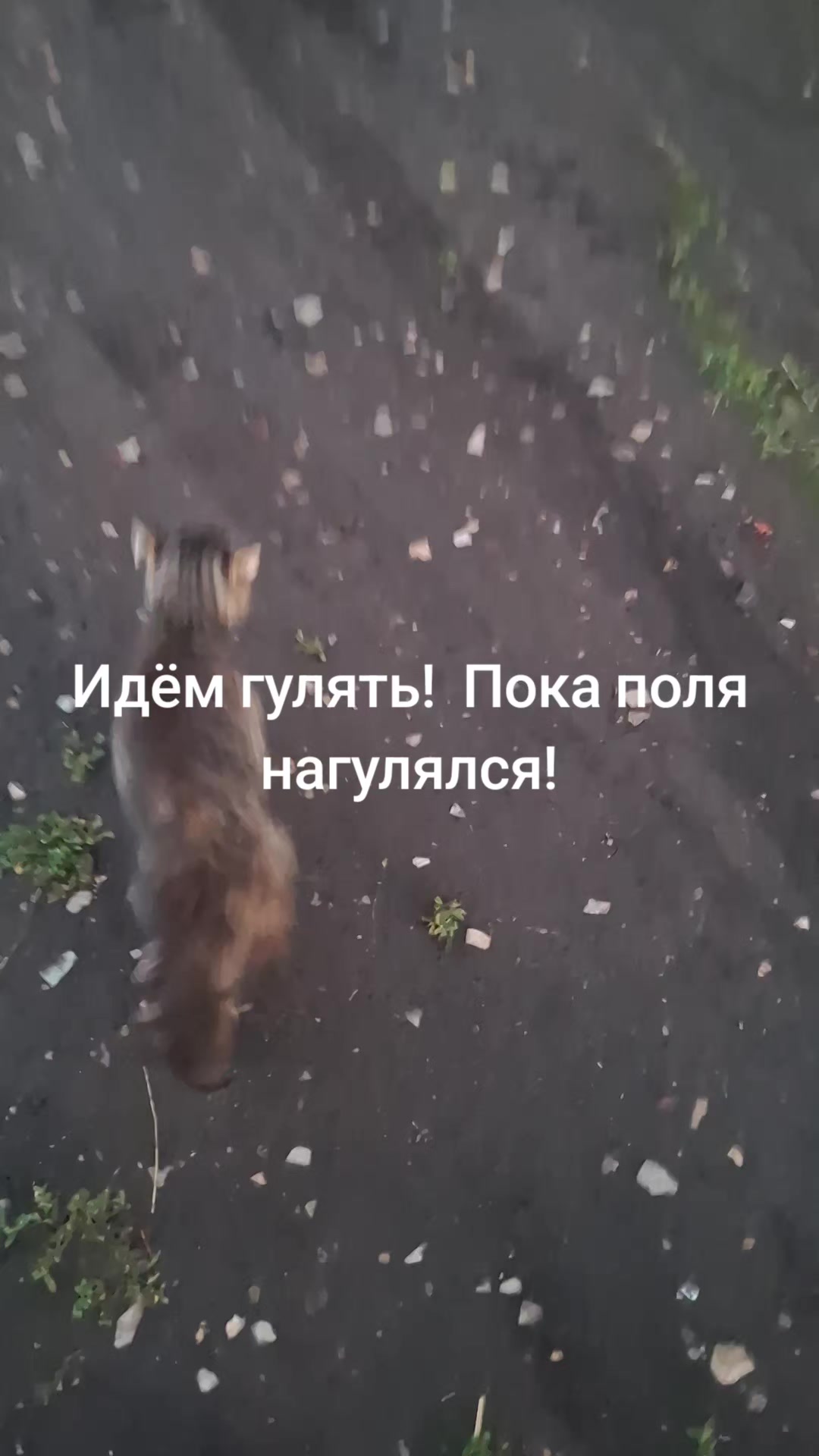 @Джон Константин