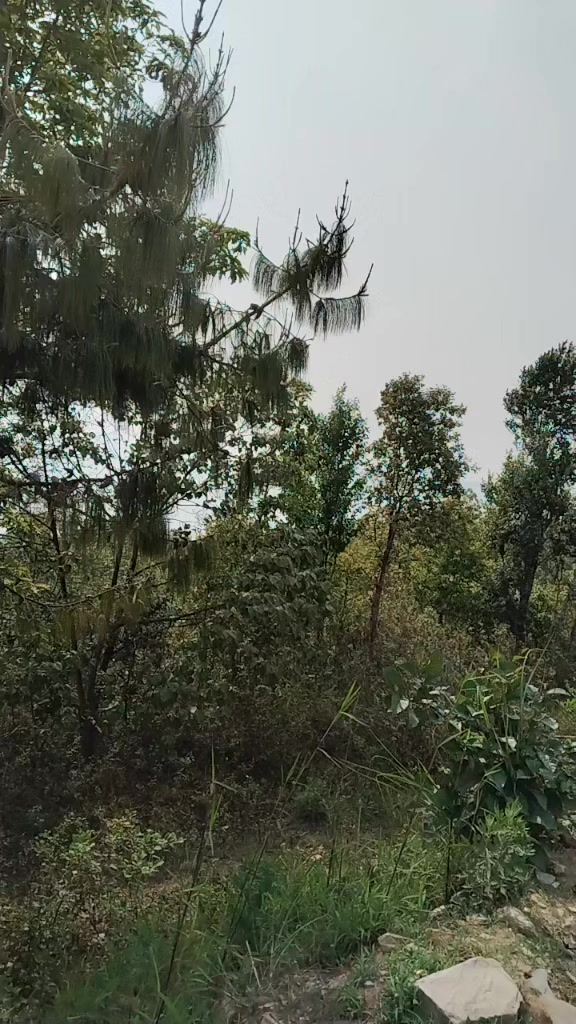 @Parbati Rai