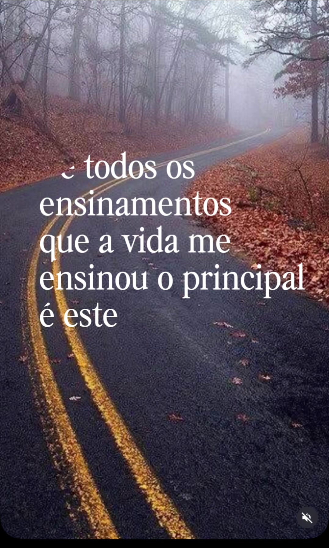 @reflexoes_davida