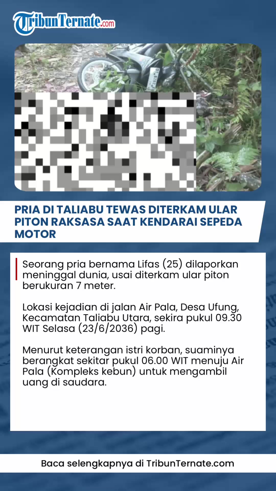 @TribunTernate.com
