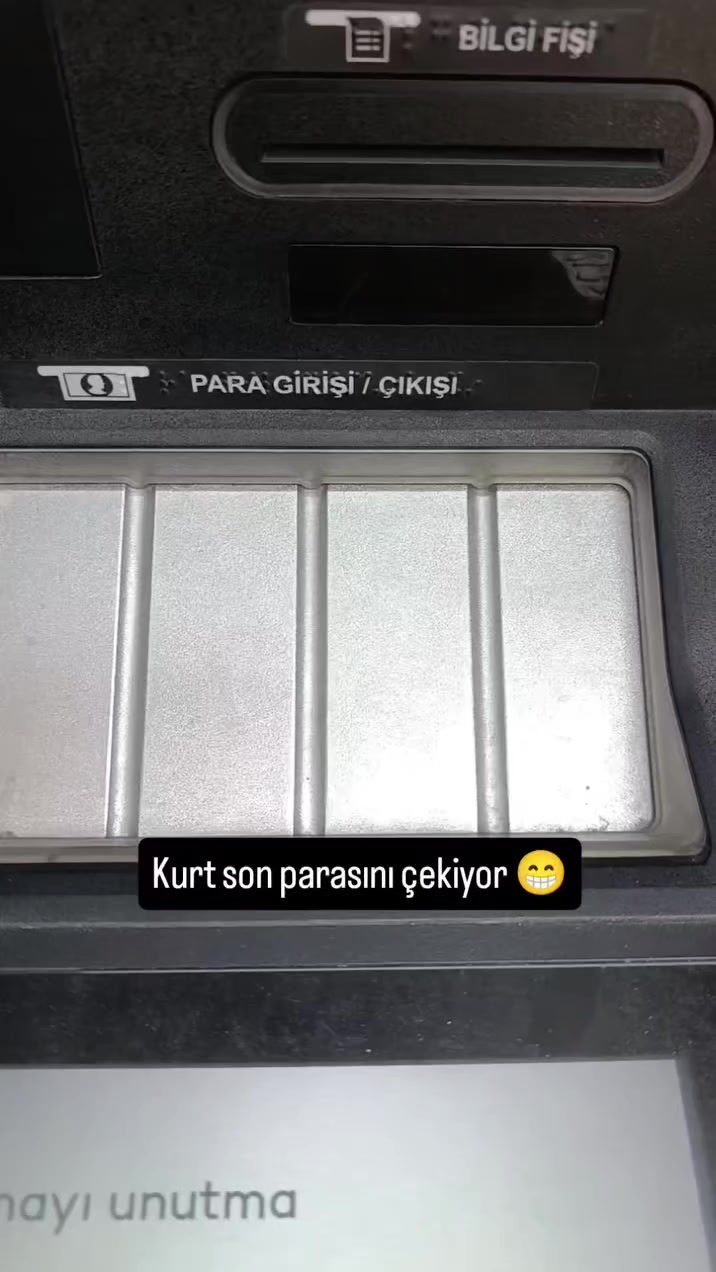 @papatya 🌼