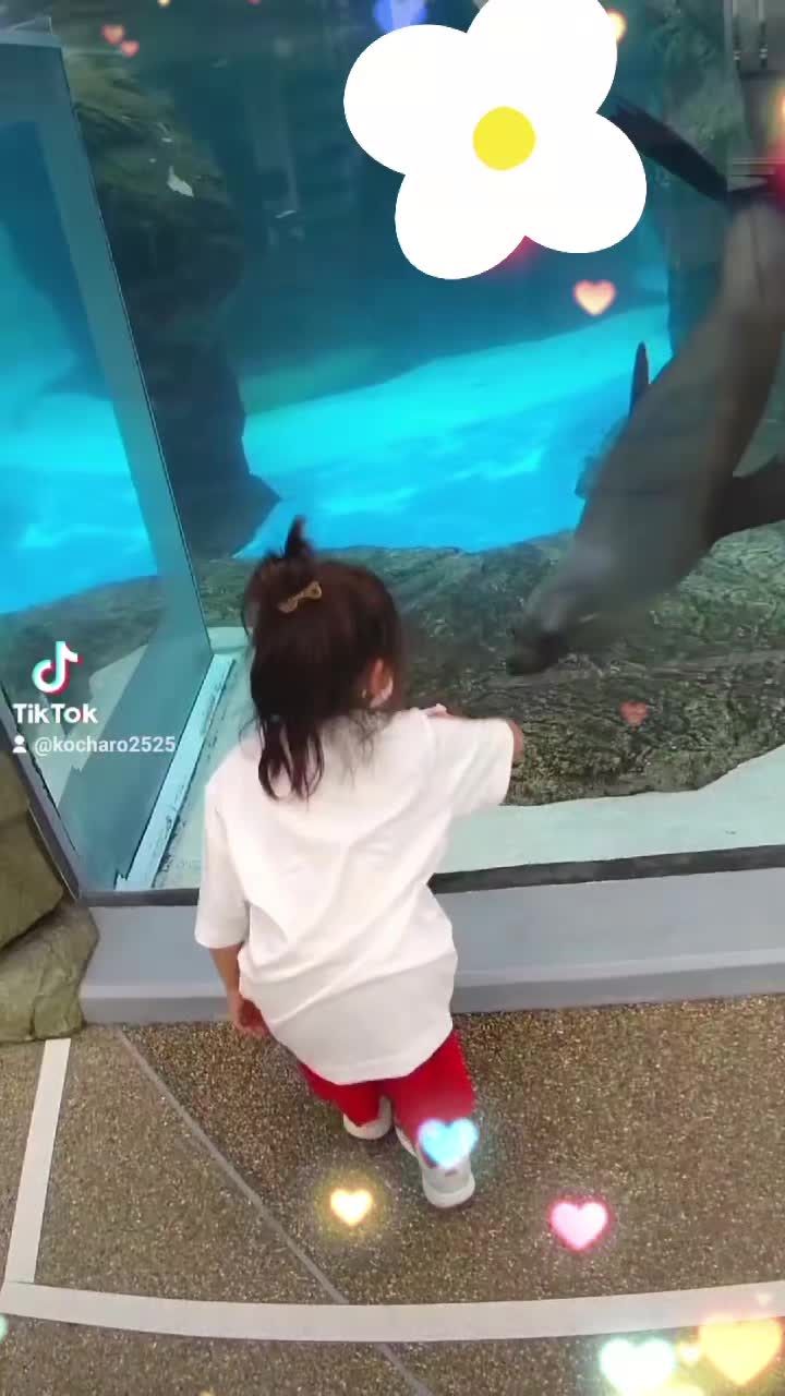 @ðãã¡ãããŒð©·ðð¢ðšð€
