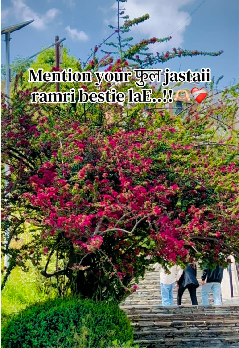@ 𝕭𝖚𝖈𝖍𝖈𝖍𝖆🦋❤️🩹😎