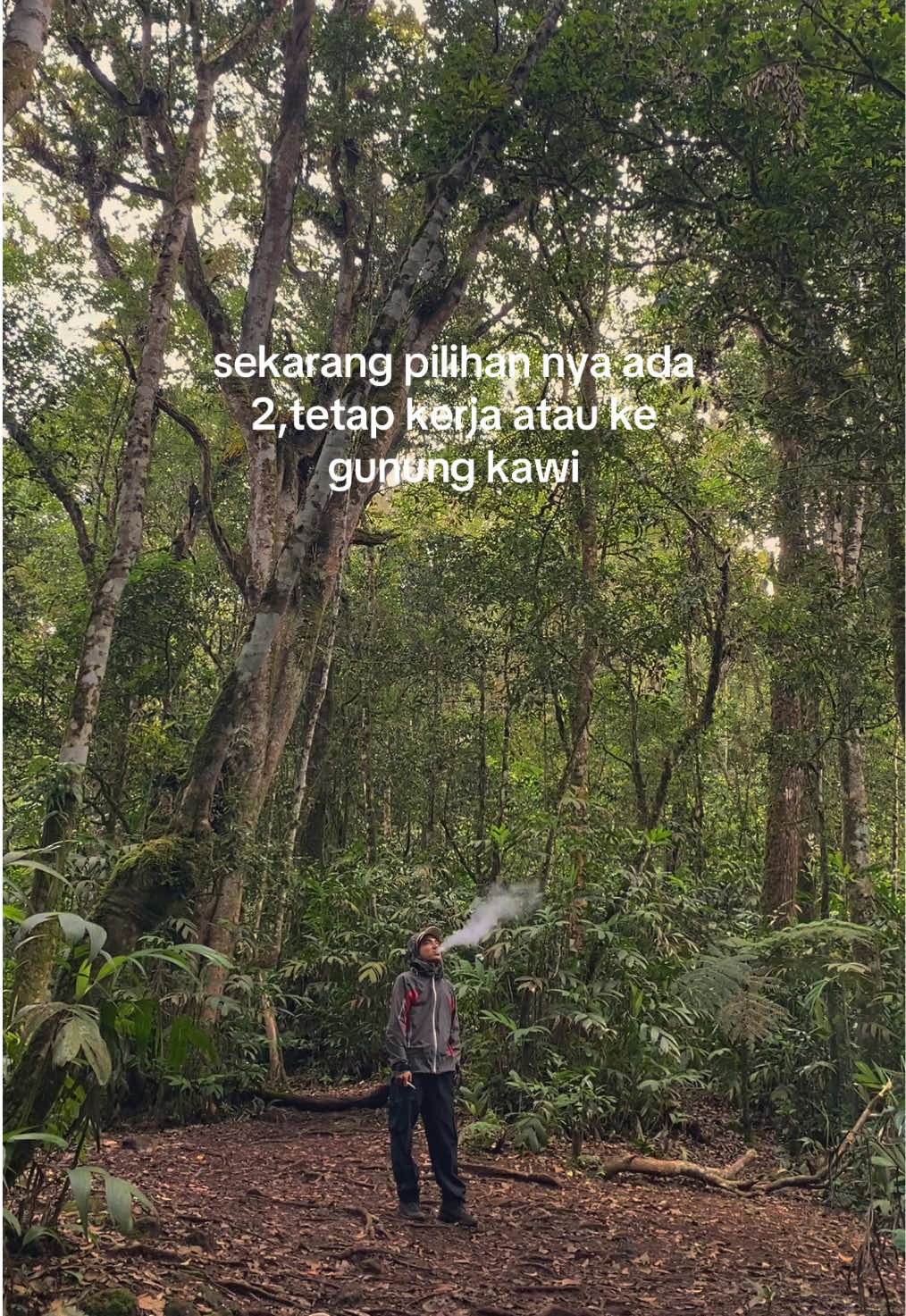 @rendyorton