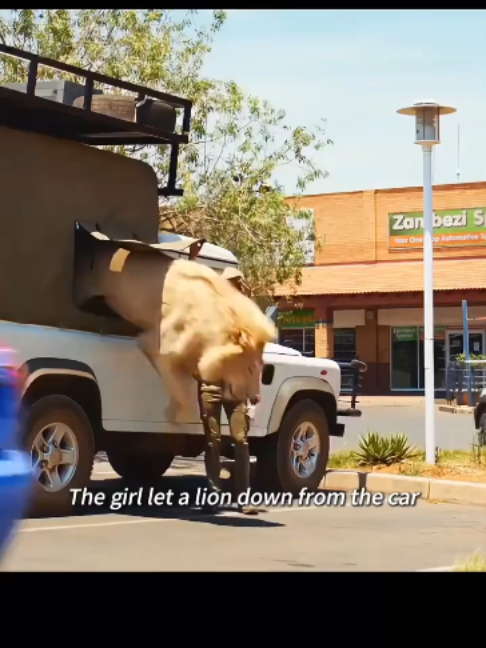 @PawlieMovies