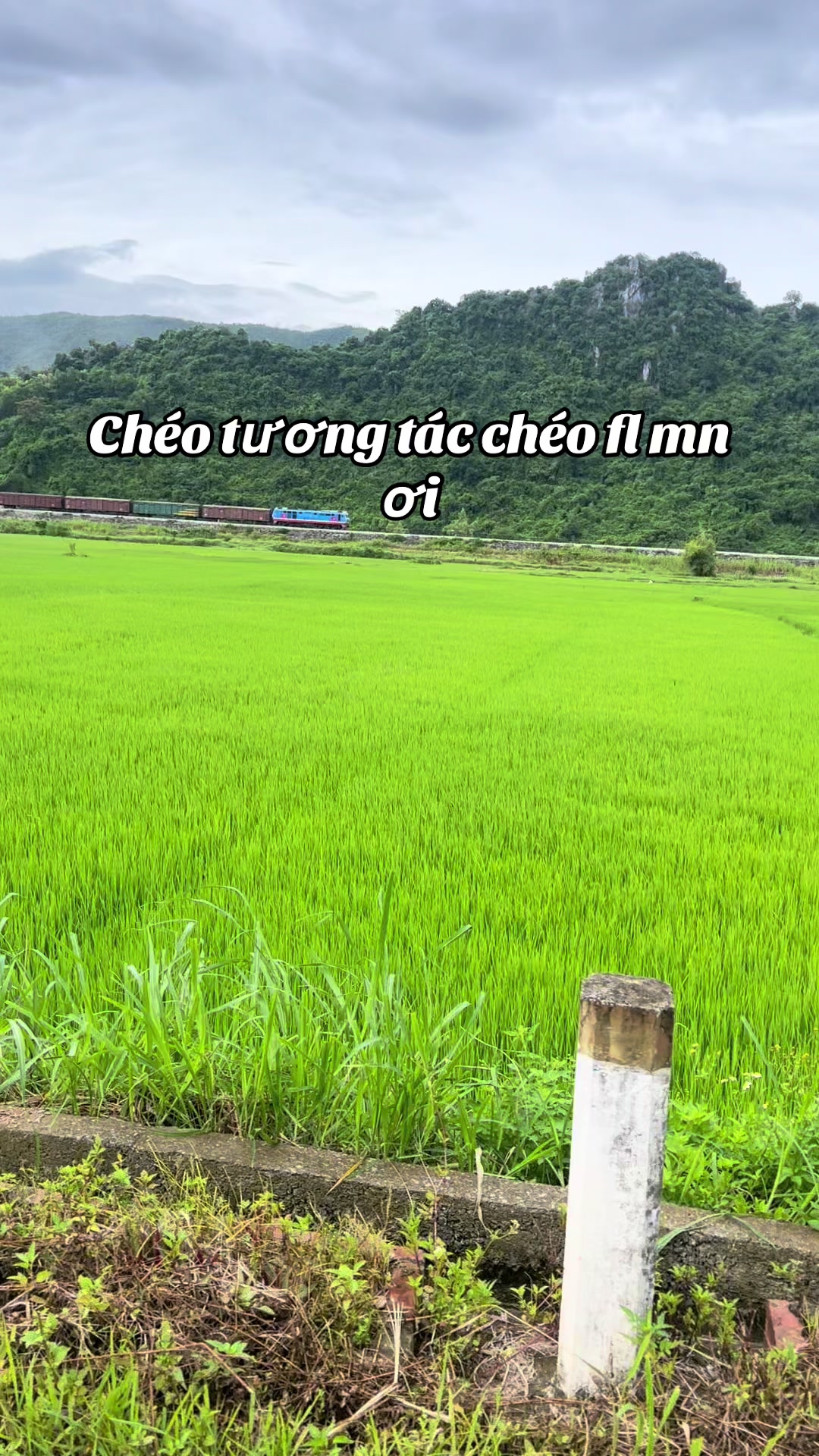 @Ch&eacute;o fl uy t&iacute;n