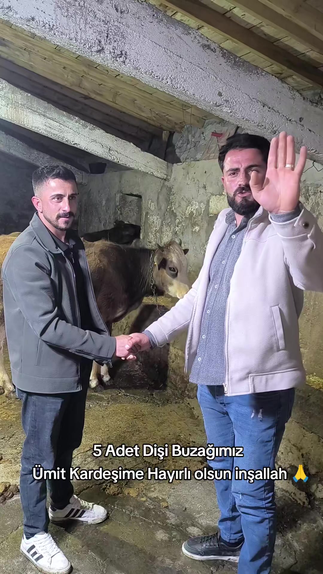 @👑Cambaz Memo Şen👑