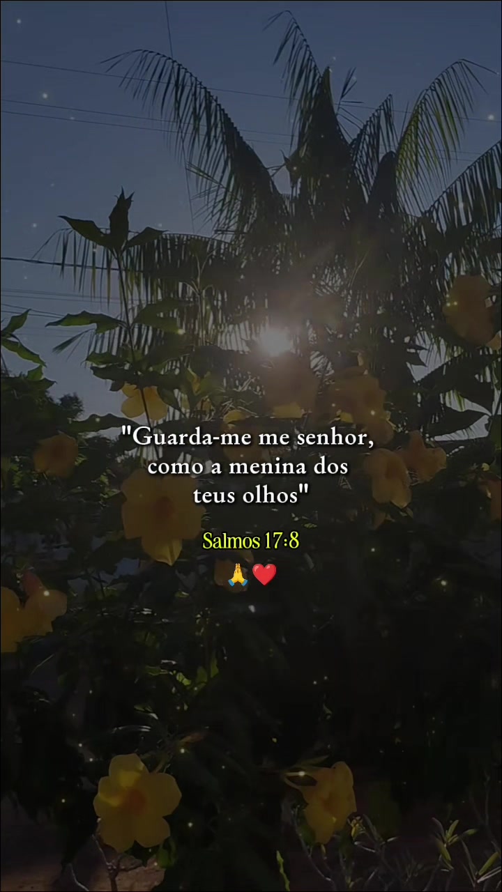 @marlysilva
