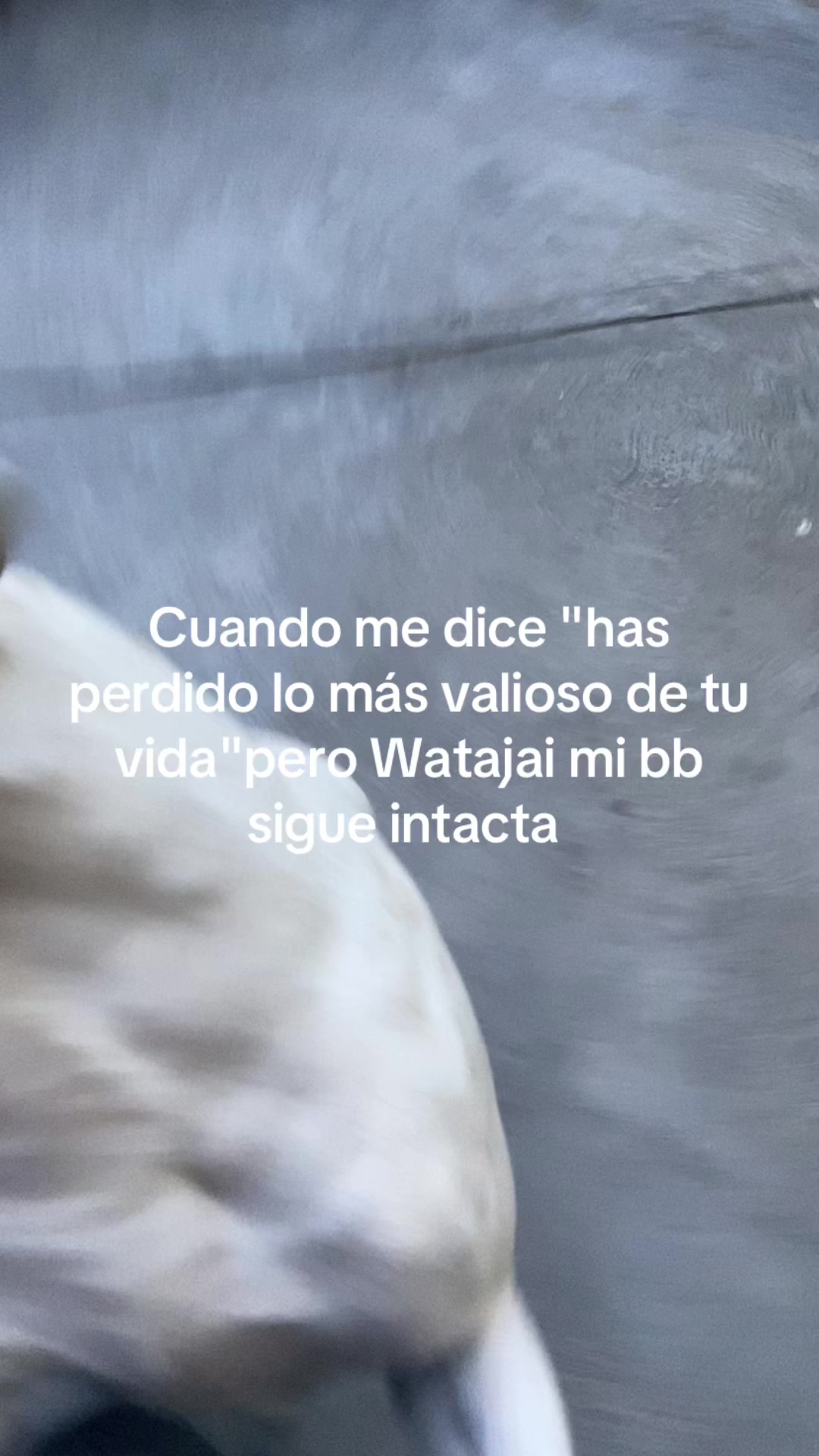 @⋆. 𐙚˚࿔ 𝖁𝖎𝖈𝖈𝖈 𝜗𝜚˚⋆
