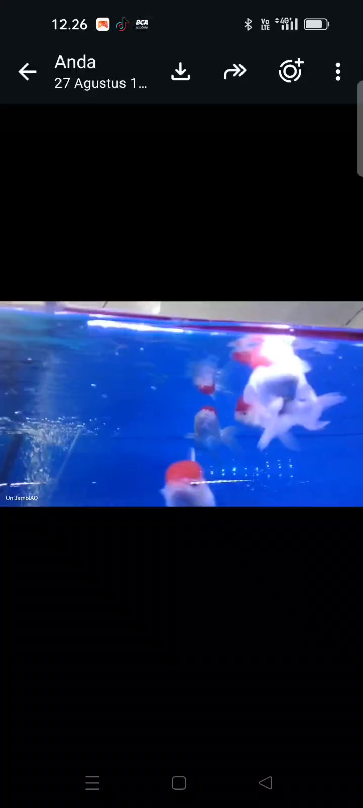 @UniJambi_Aquarium
