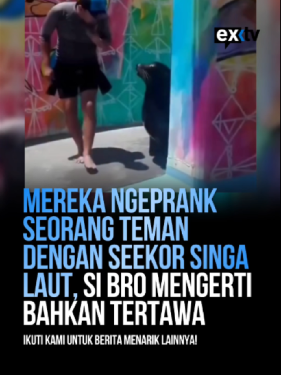 @Expressi Media