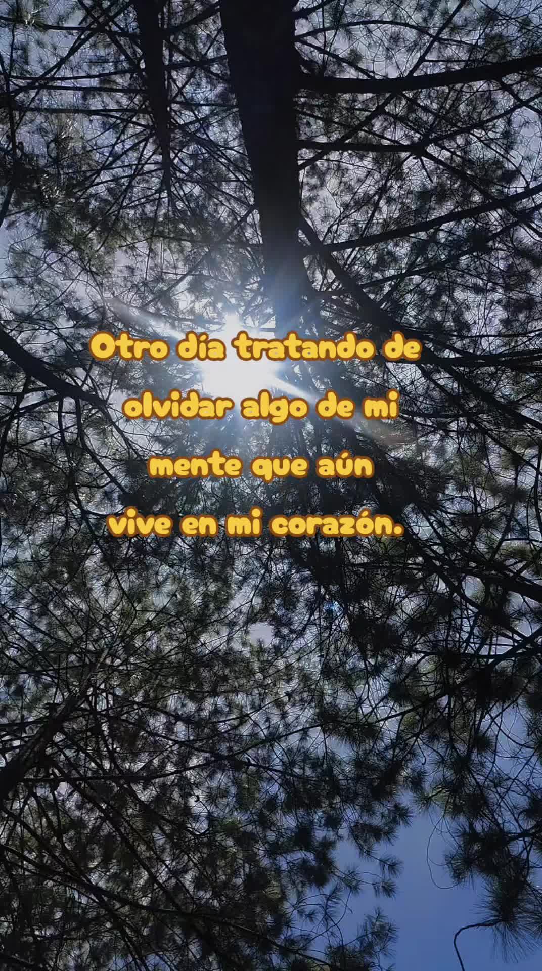 @♡🌿ᖇOᗰIᗴ🫀✨🌺
