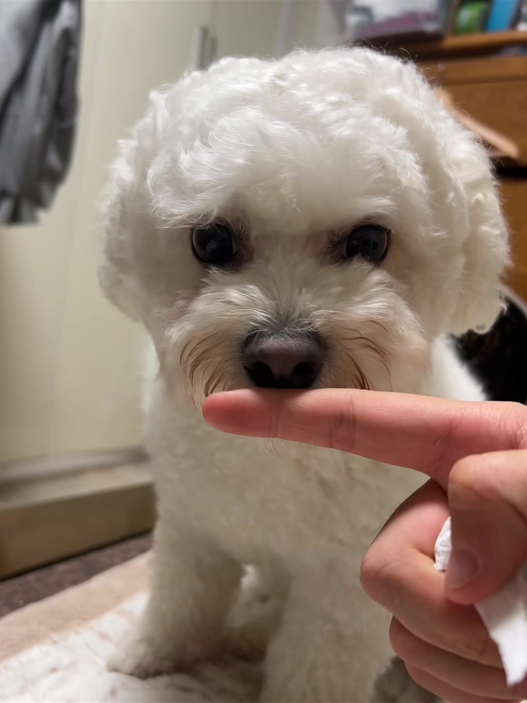 @가은
