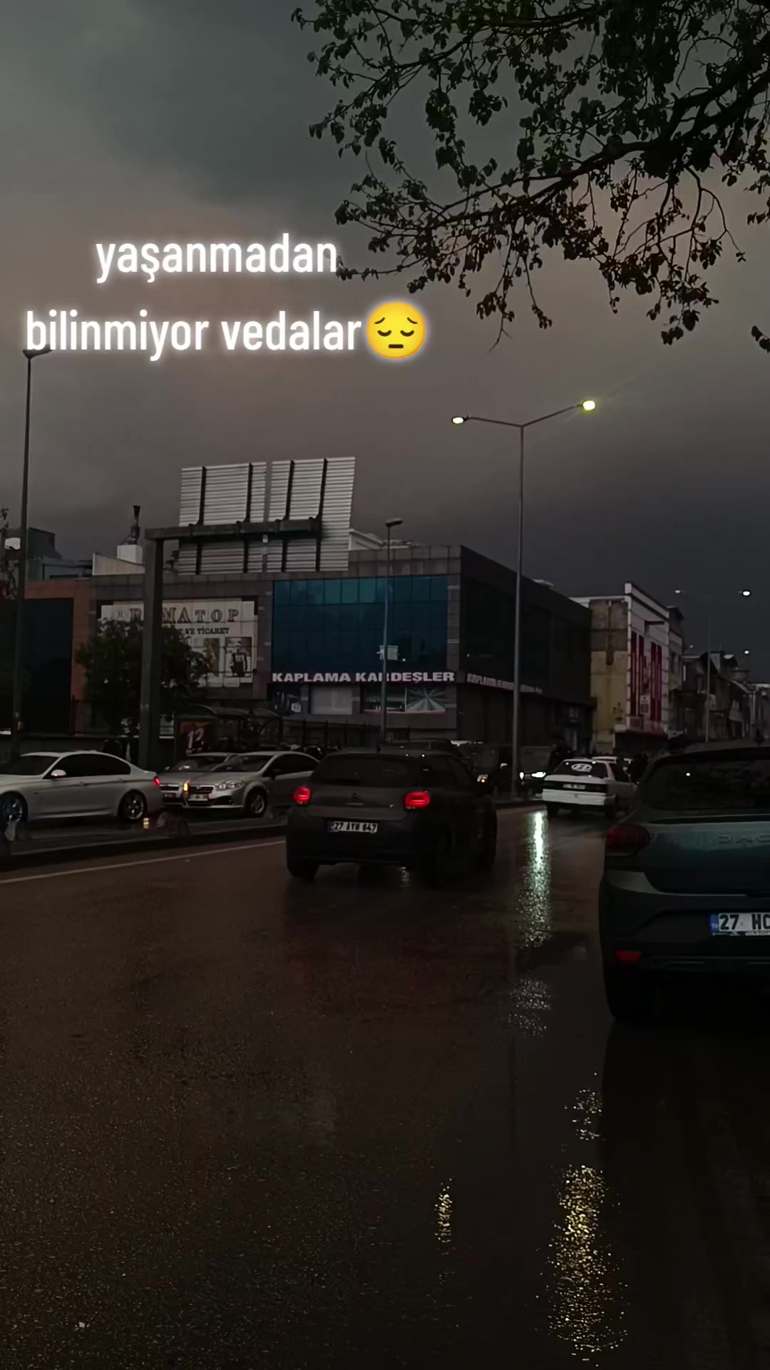 @AZİZ MERT