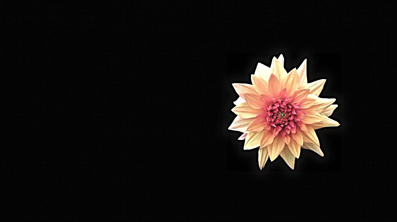 @𝘷𝘦𝘭𝘮𝘮𝘳𝘢𝘺𝘹