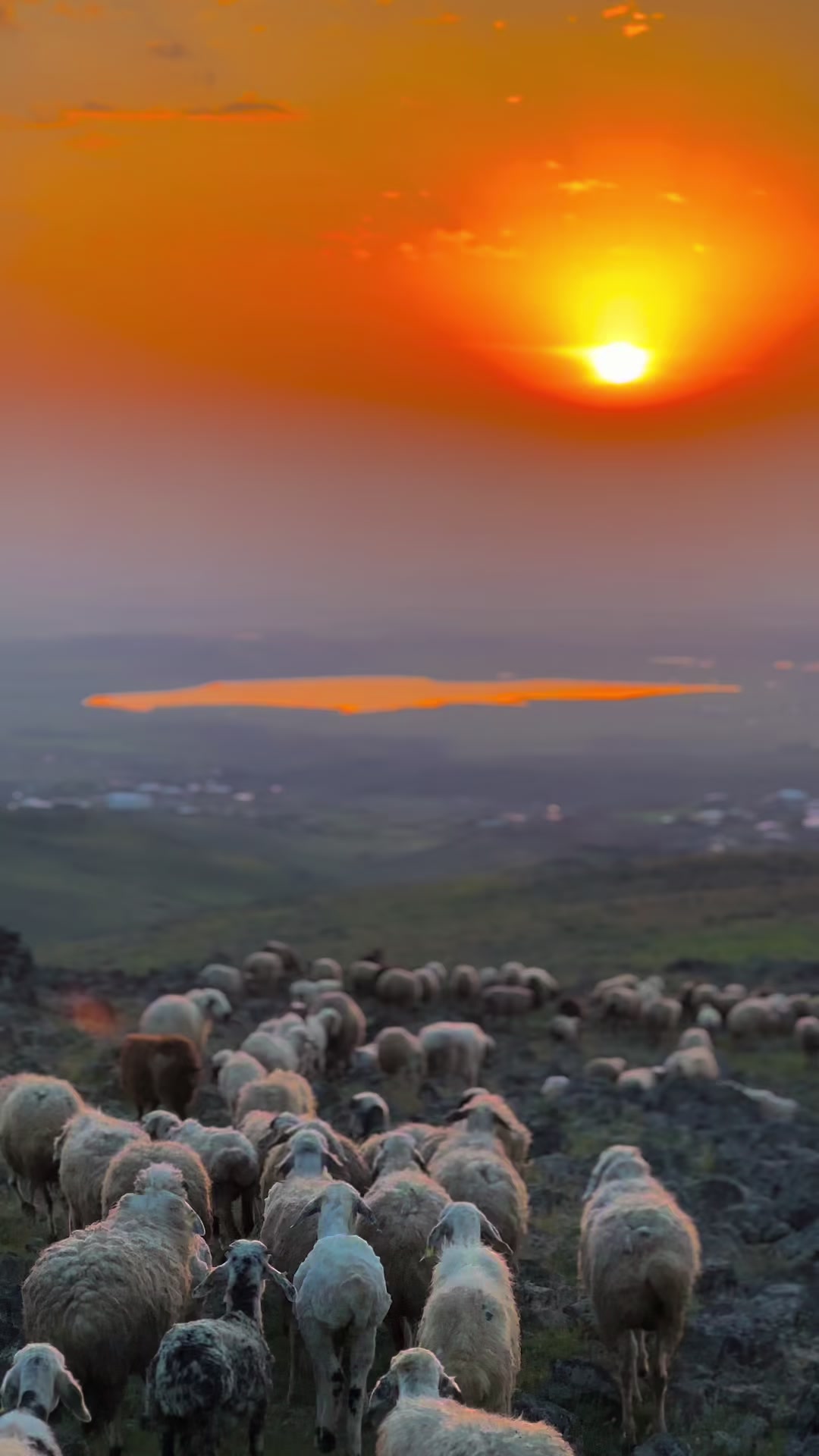 @𝗘𝗟İ𝗧 Ş𝗜𝗪𝗔𝗡☀️