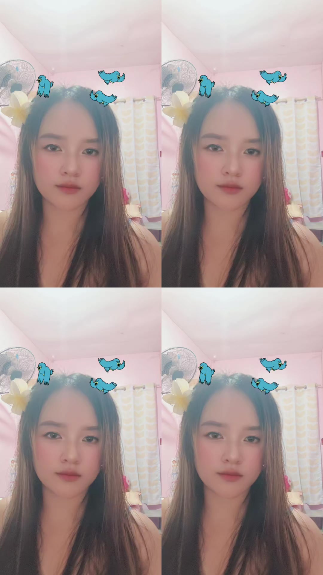 @JANELABS⚓