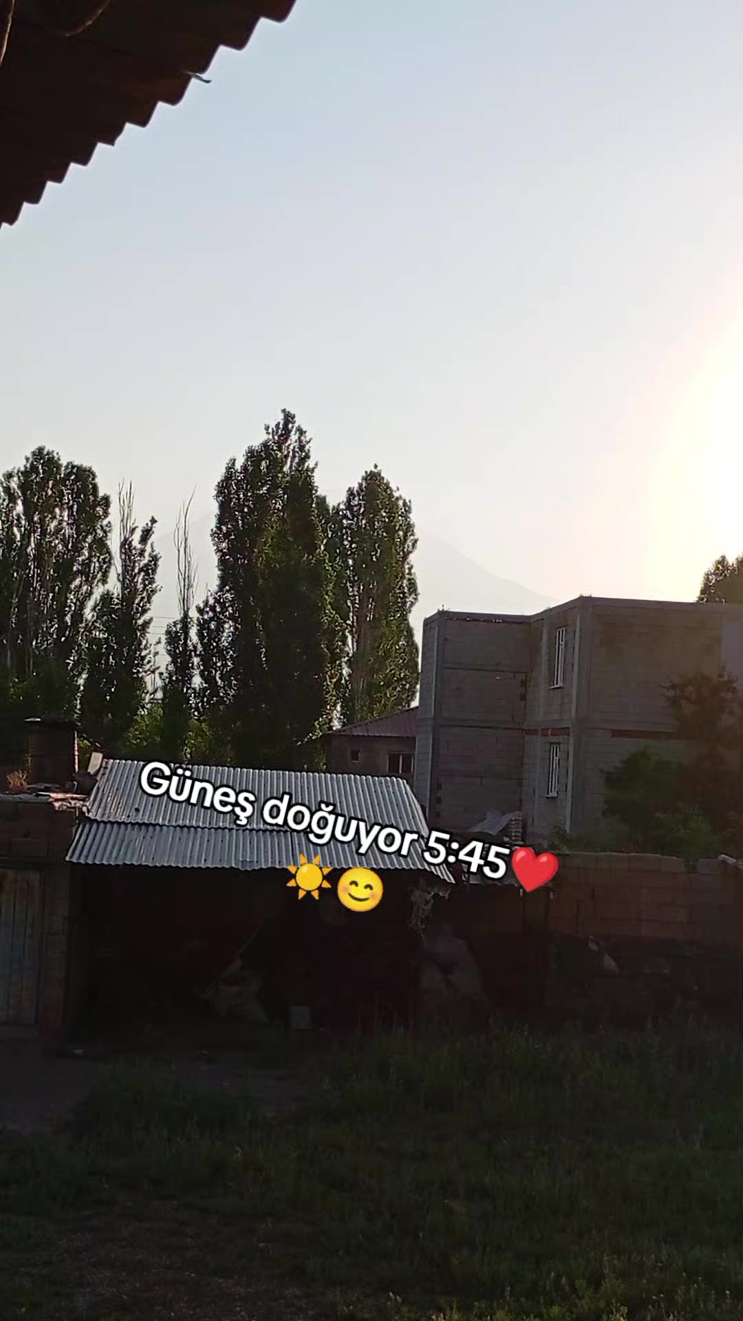 @bazidli adem04