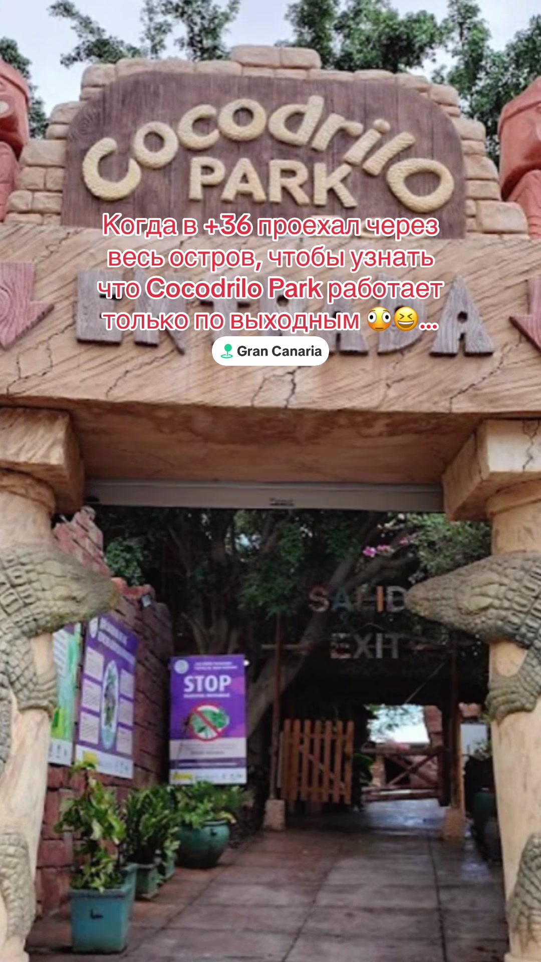 @gvvgdo