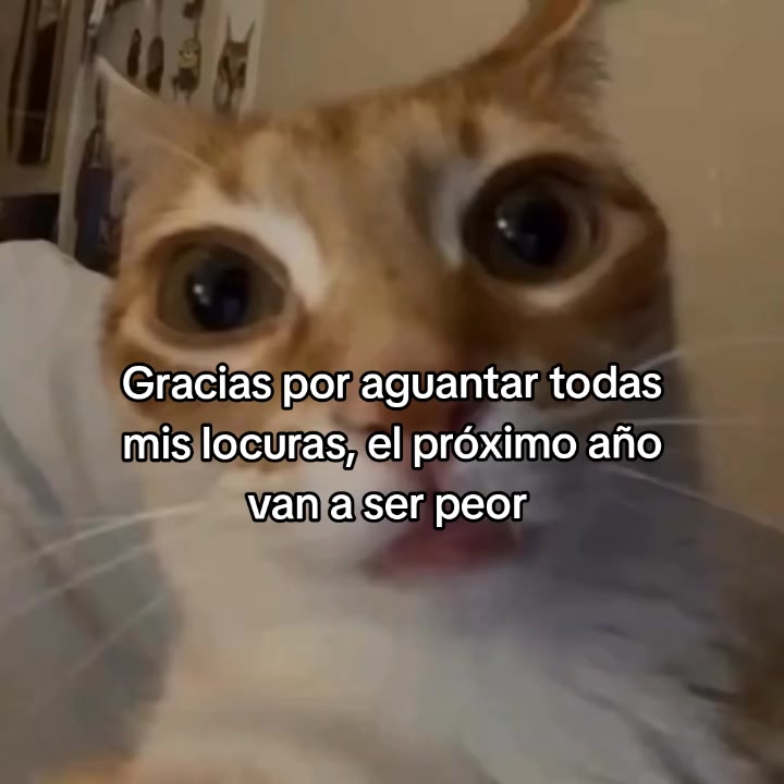 @goodvibessxd