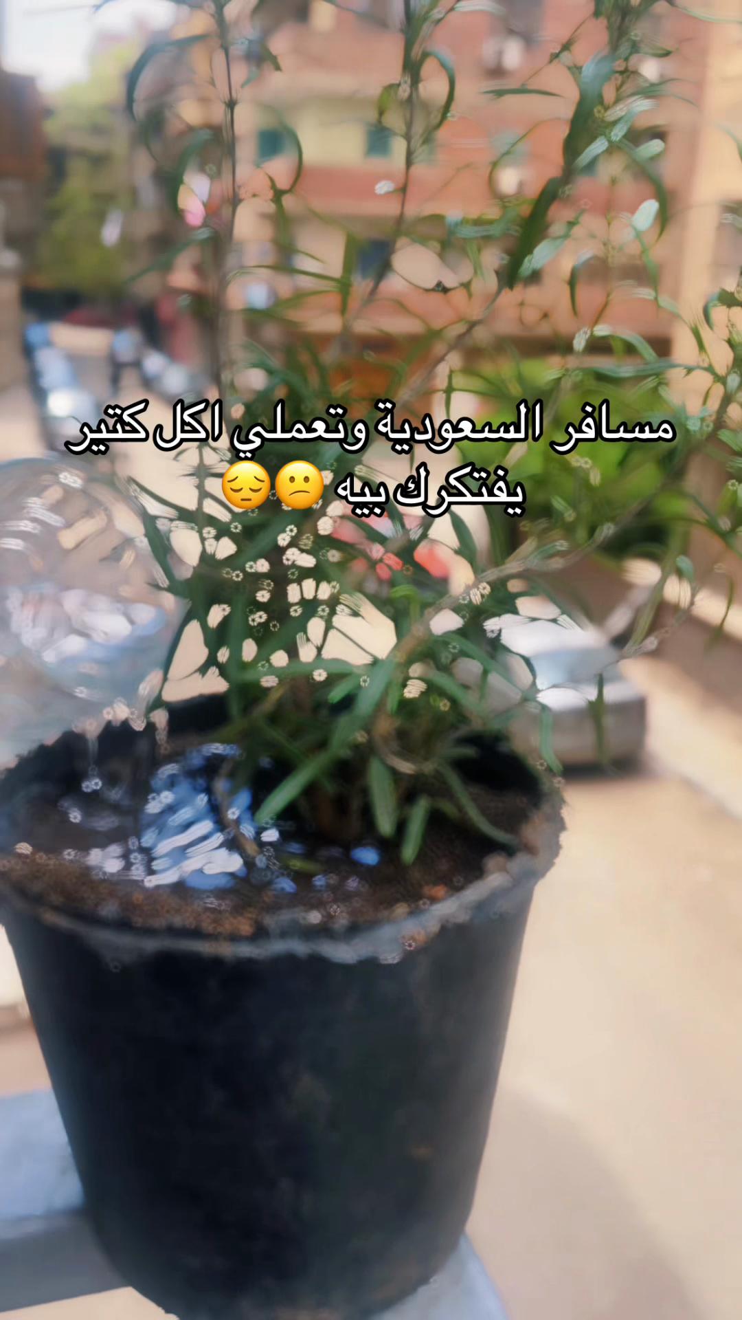 @آيه~