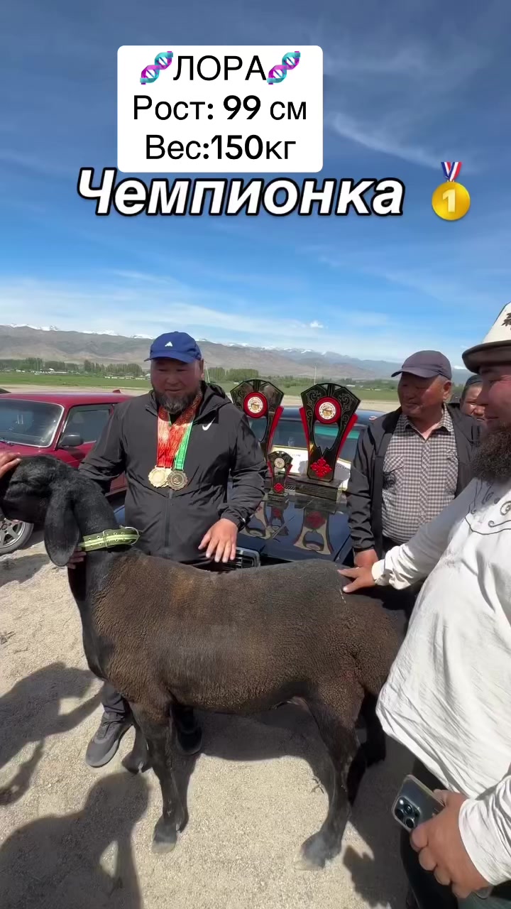 @&ldquo;МАТАЙ&rdquo;