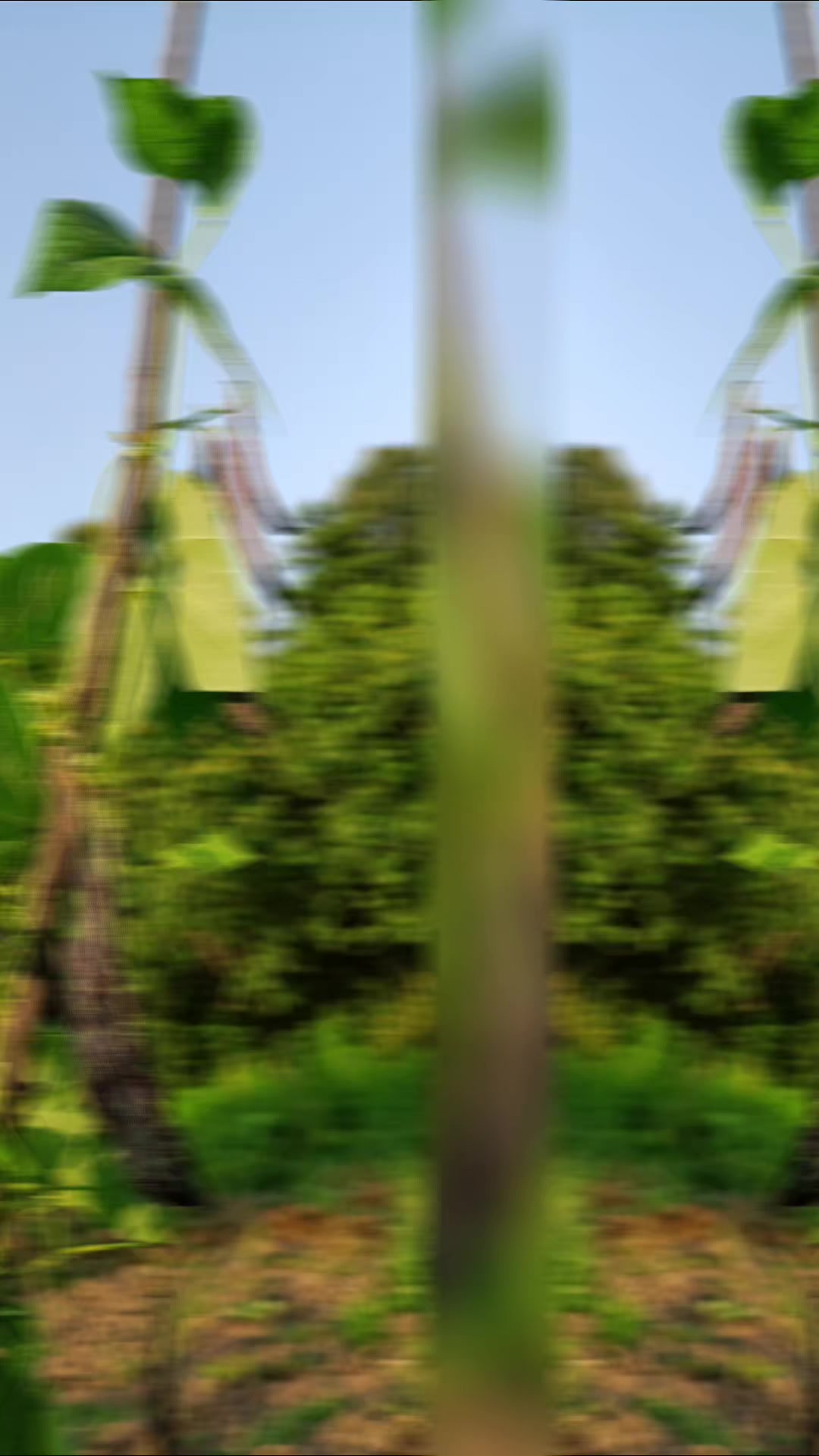 @Məhərrəm