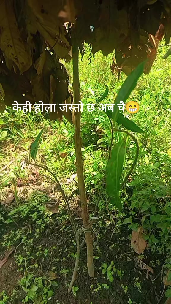 @जीवन राई