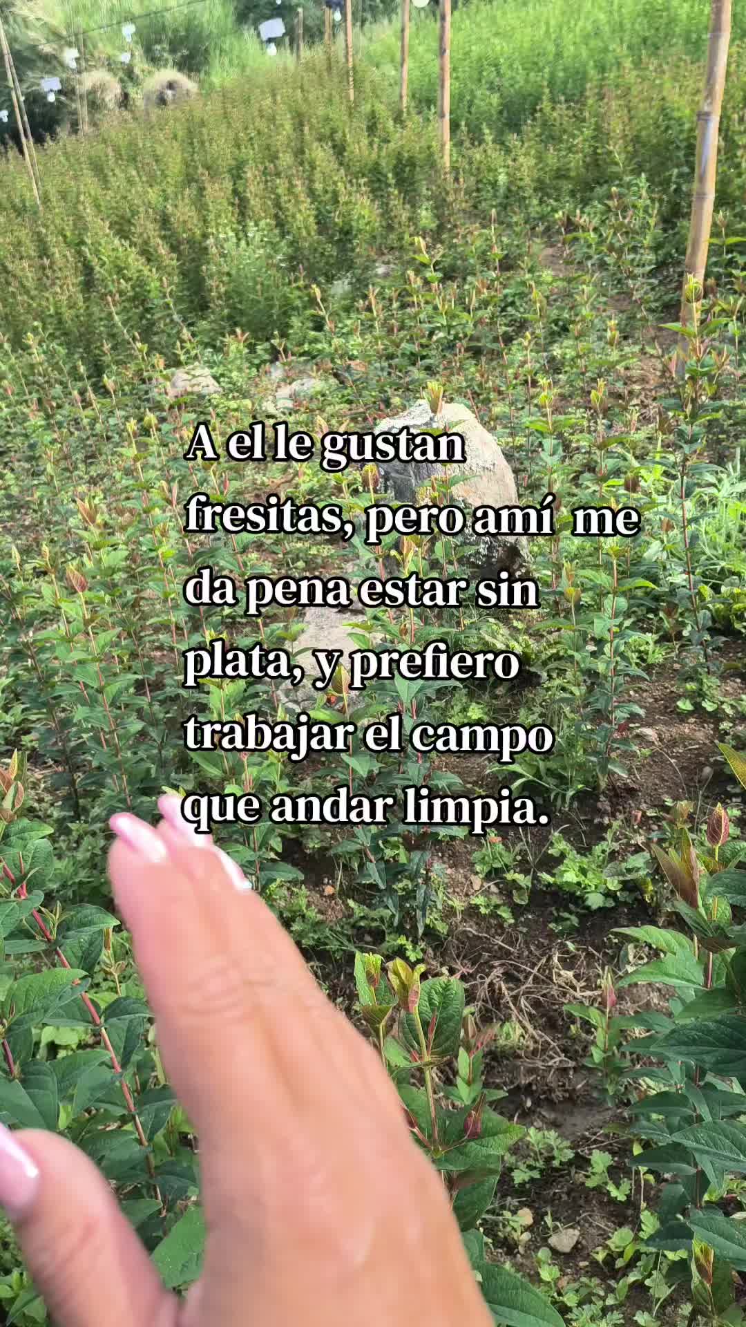 @Leidy Arias