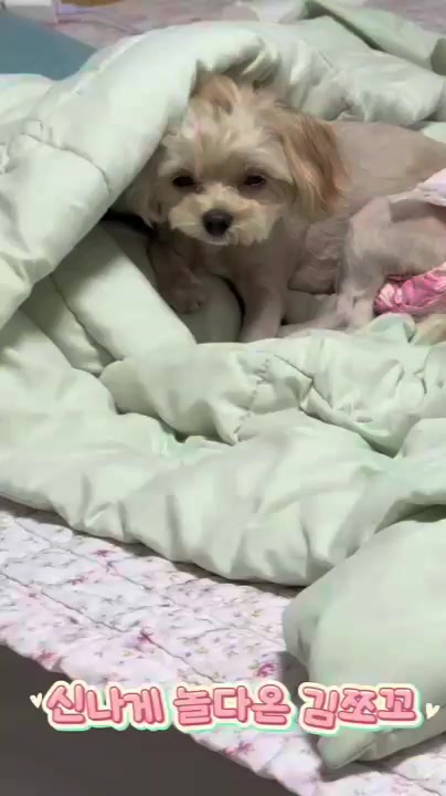 @쪼꼬소예