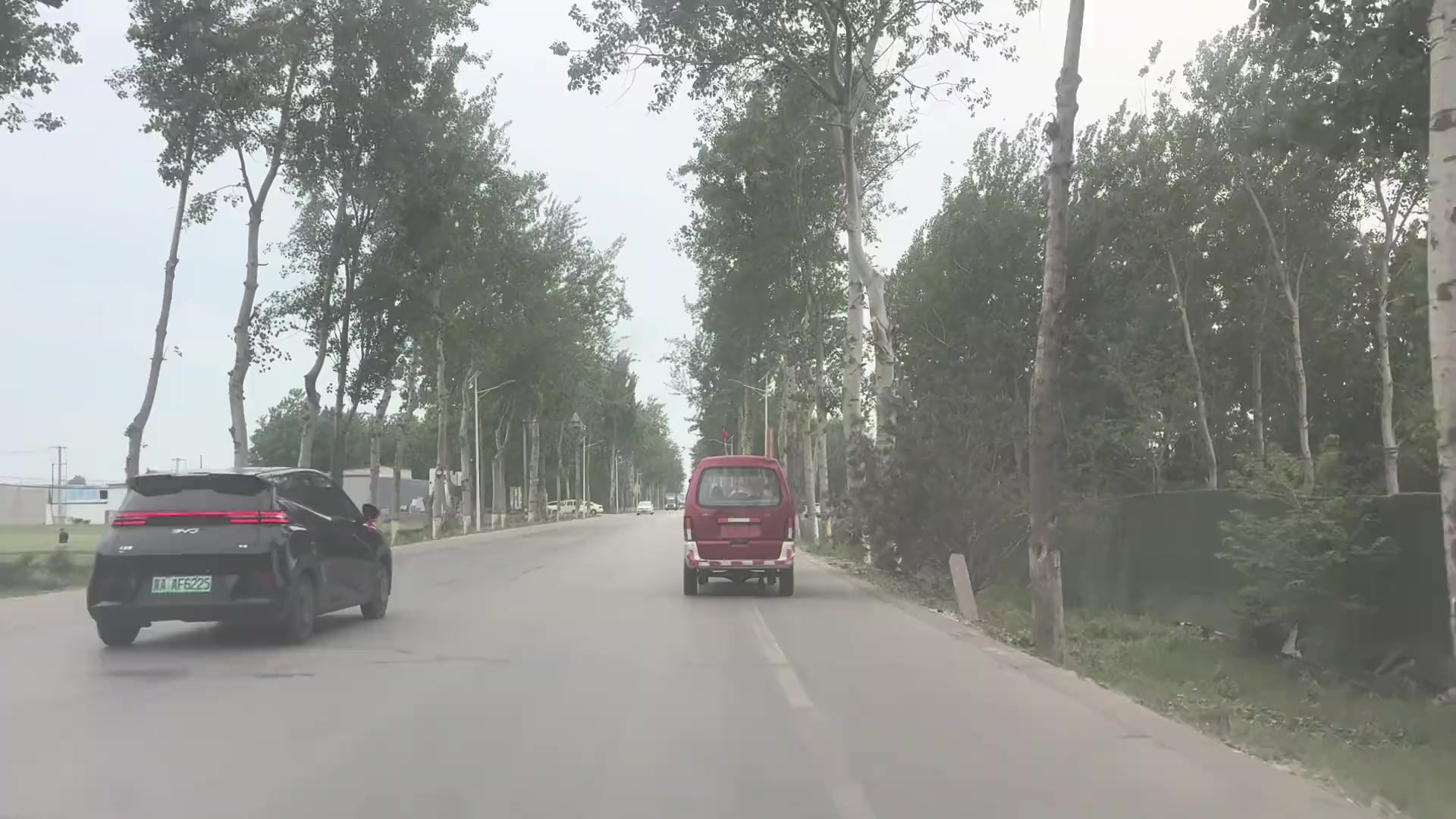 @晃晃悠悠