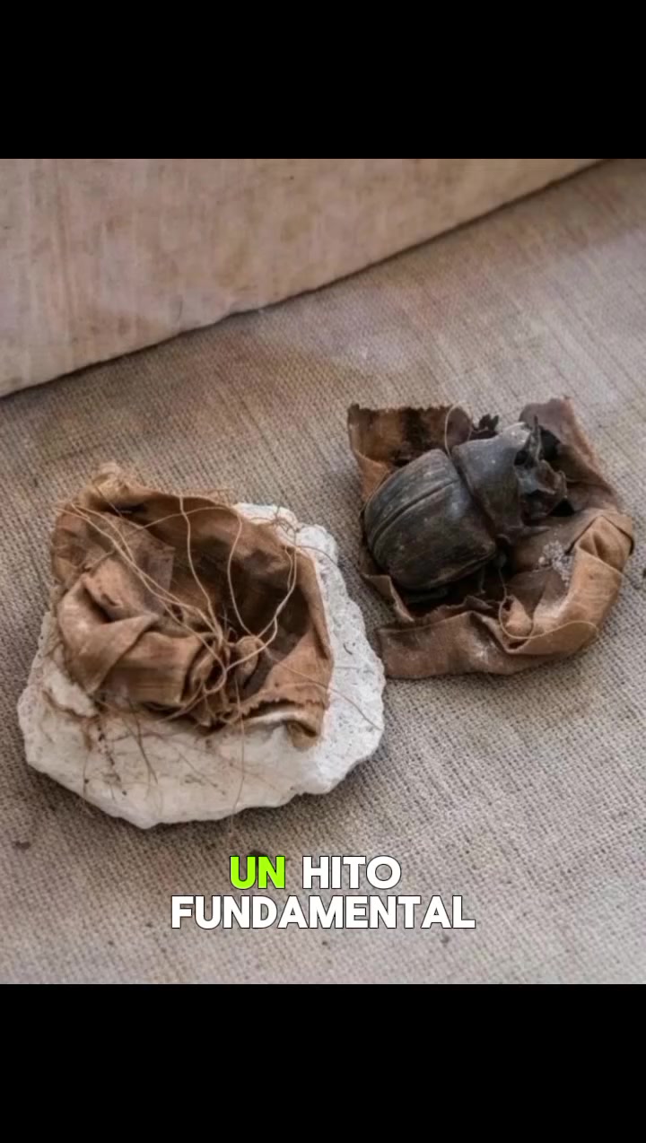 @mundo extraordinario