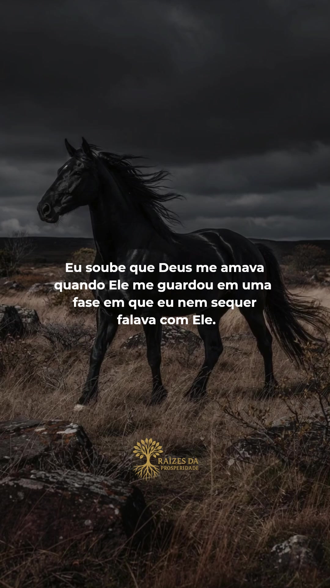 @Raízes da Prosperidade