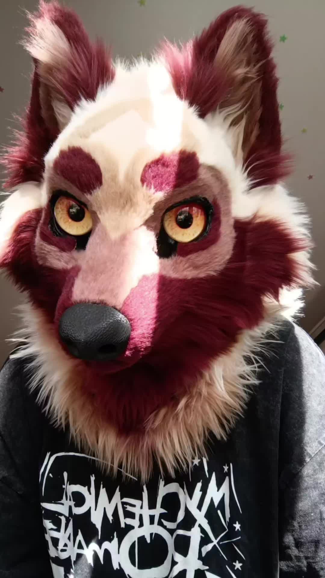@LeraWolf_workshop