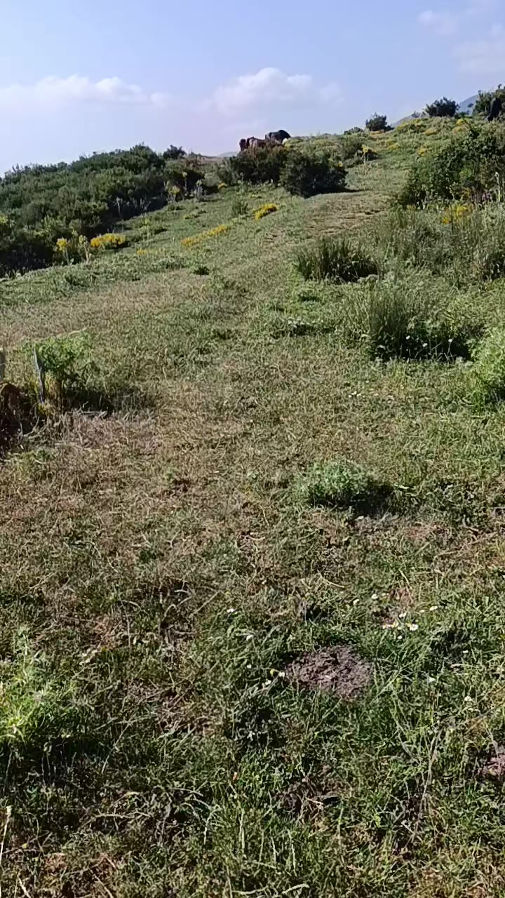 @JubaHiking