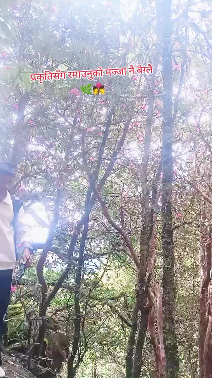 @𝗔𝘁𝗵𝗹𝗲𝘁𝗶𝗰 𝗽𝗹𝗮𝘆𝗲𝗿